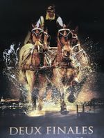 Championnat du monde attelage Genève