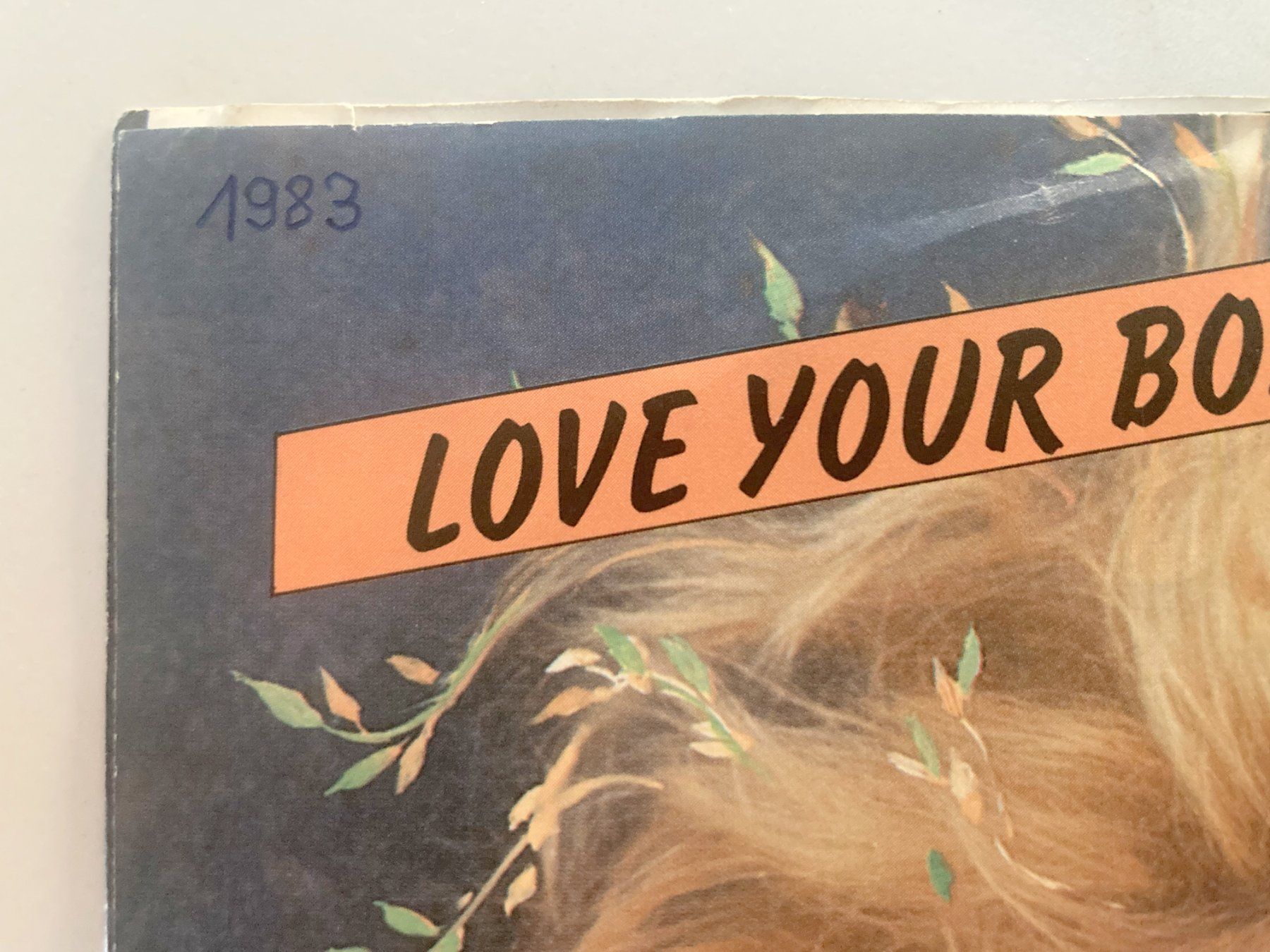Dischi in vinile: AMANDA LEAR - LOVE YOUR BODY – Usato da Bottens venduto da hotter-than-hell 3