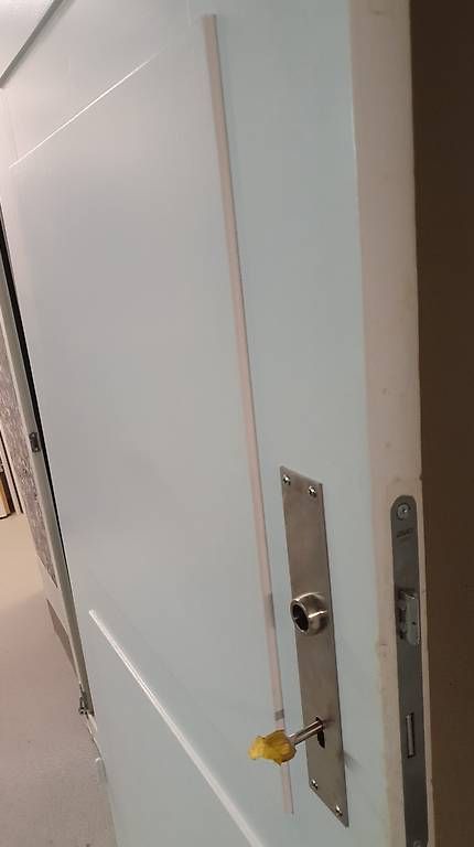 Porte: 2 Zimmertüren – Usato da Buchs SG venduto da lilavioletta 1