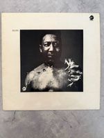 Muddy Waters 1969 After the rain (LP 1st Issue)