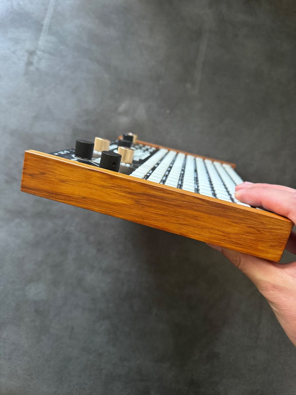 Musikinstrumente: Synthstrom Deluge (OLED Display), mit case – Gebraucht aus Zürich von mic_hfm6 1