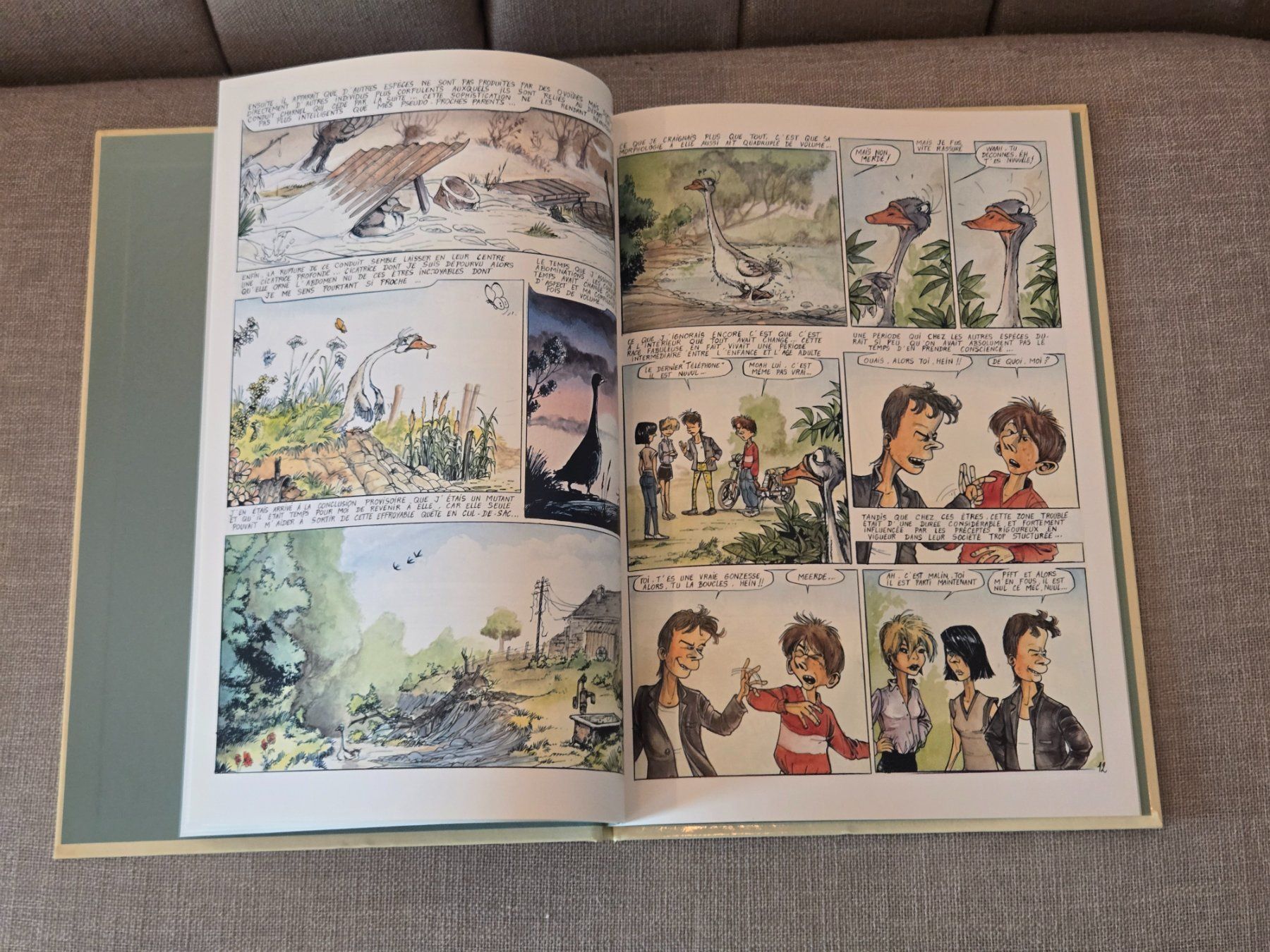 Fumetti: Ptiluc - Amours volatiles – Usato da Crémines venduto da Blakedrake 5