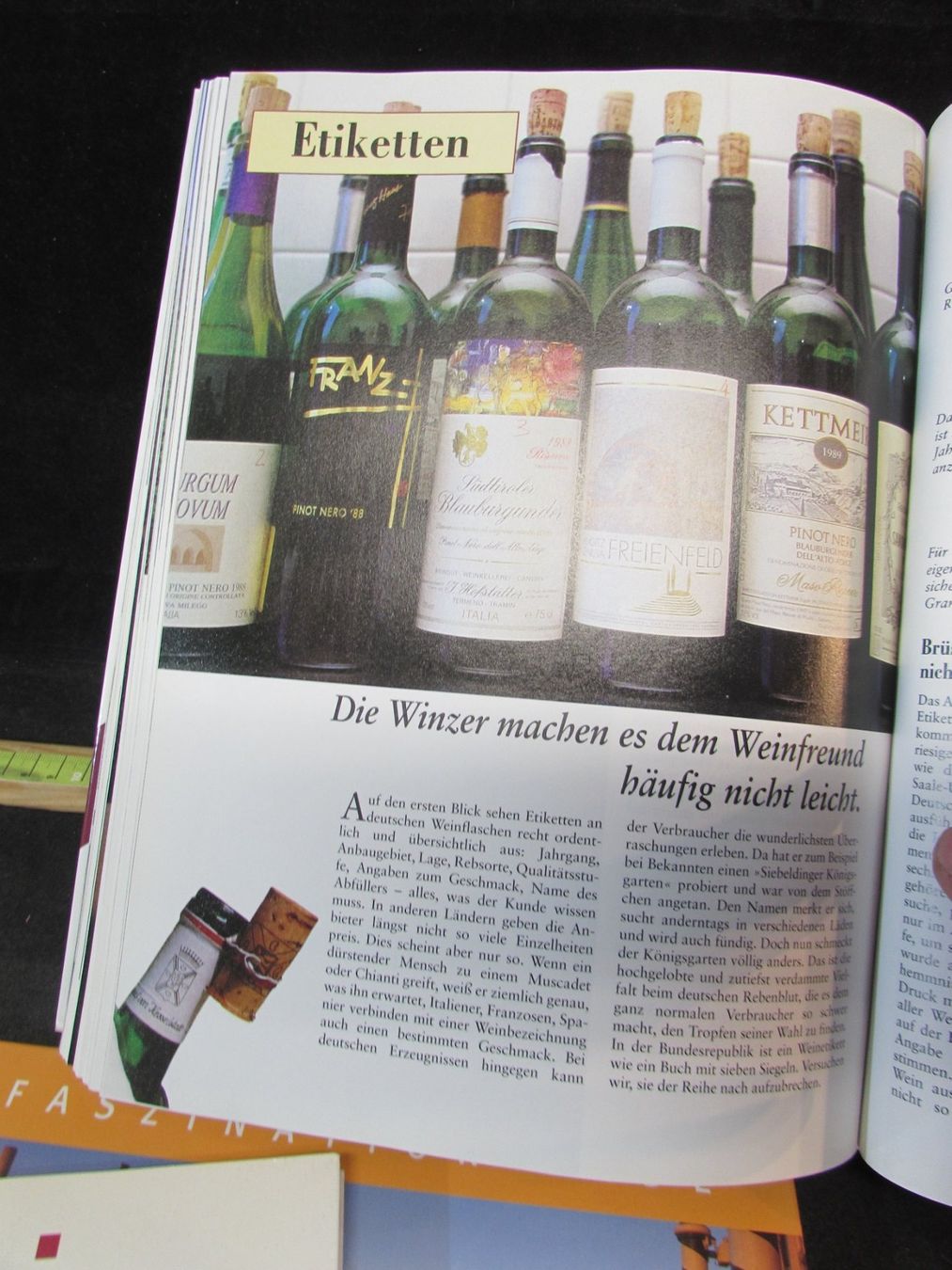Wein: Wein/Herbst/Trauben – Gebraucht aus Walchwil von Shells1 9