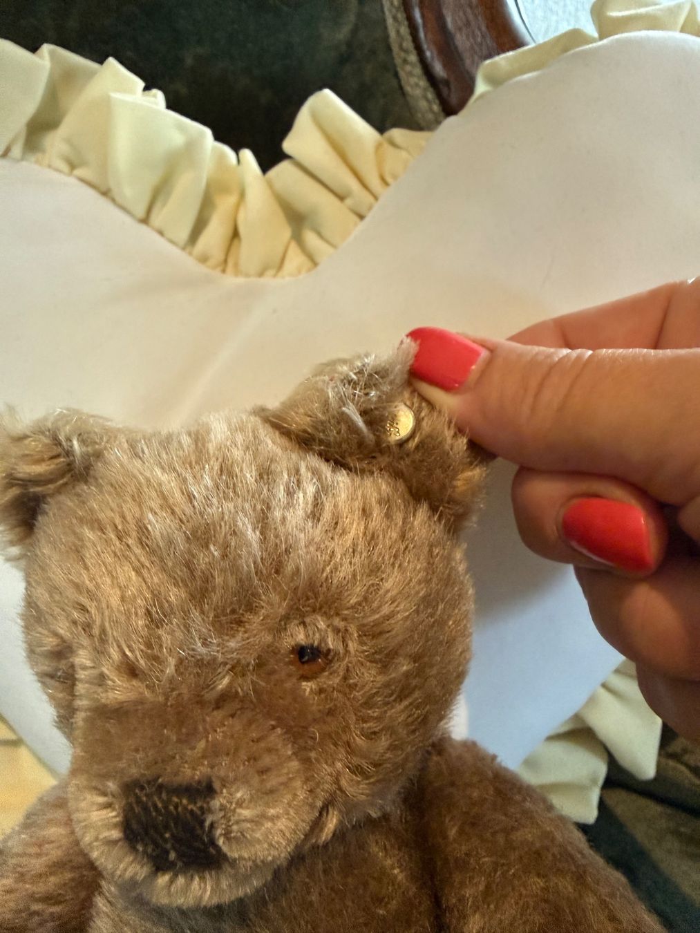 Steiff Jouets: Süsser , älterer Steiff Teddybär 🧸 – D'occasion à Schaan par chinchillali 2