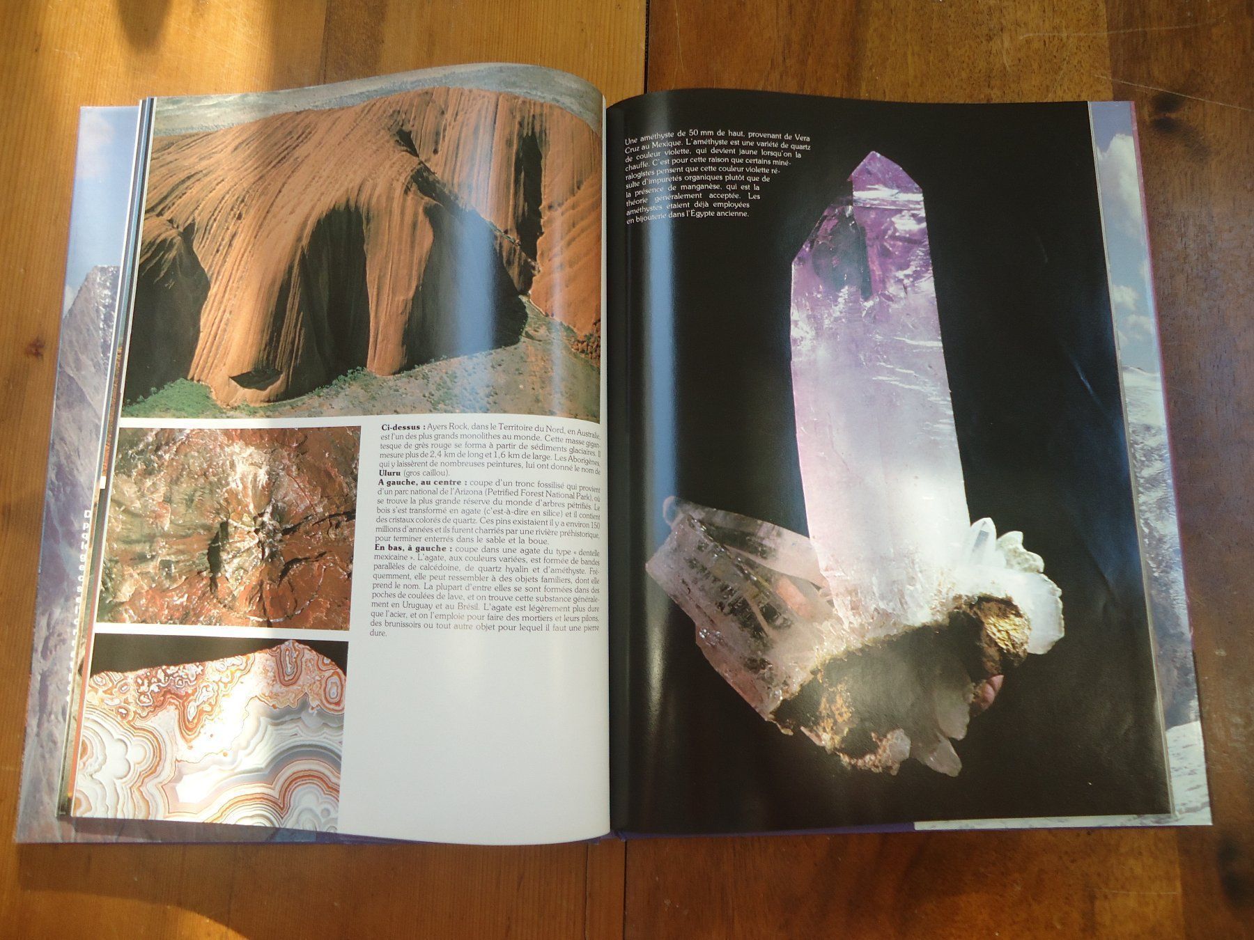 Libri: Beautés de la nature – Usato da Vessy venduto da bm.par 2