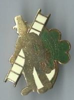 Kaminfeger, Pin