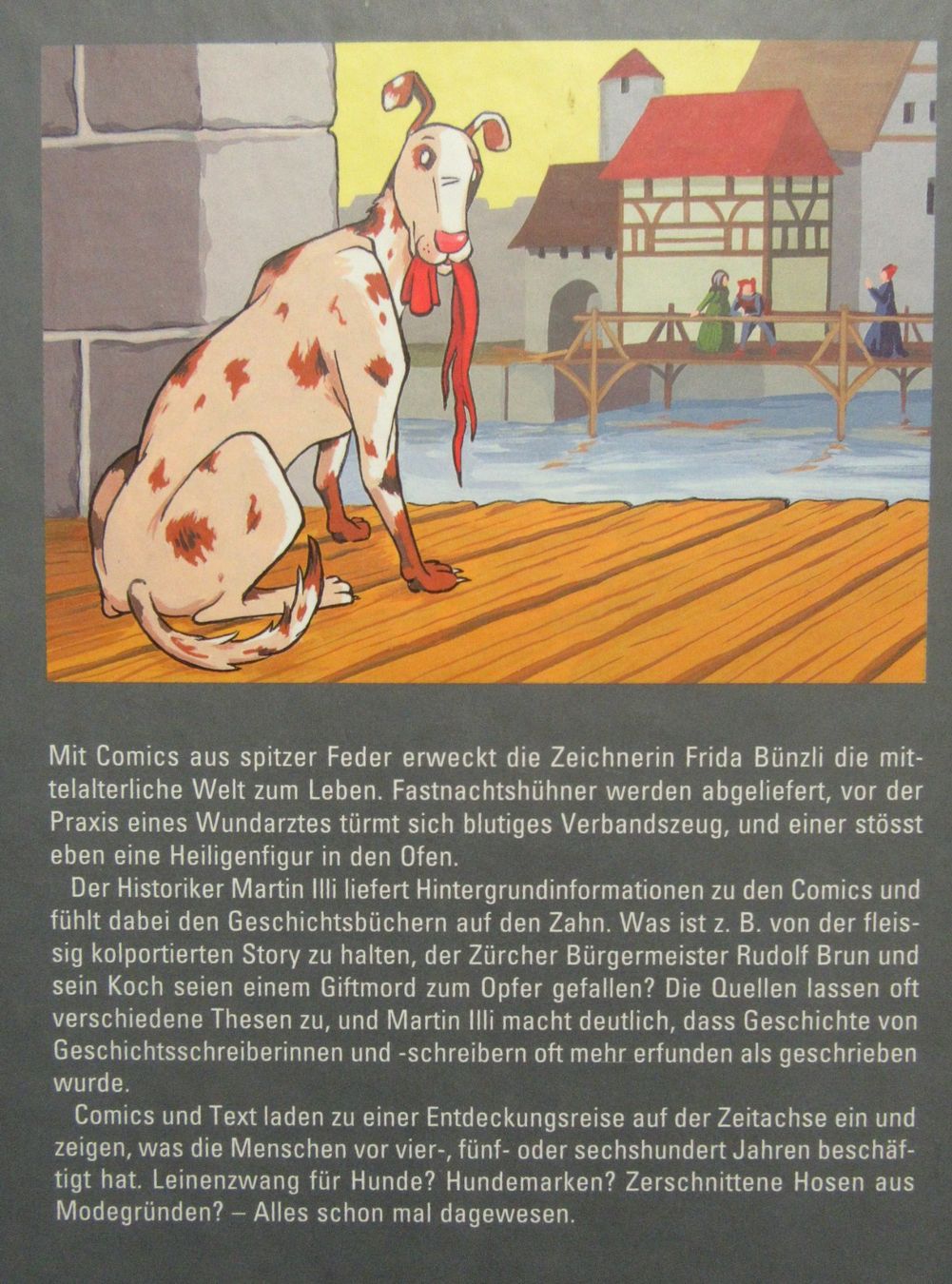 Fumetti: Hirsebarden und Heldenbrei - Comic von Martin Illi – Usato da Auenstein venduto da Padabimbim 1