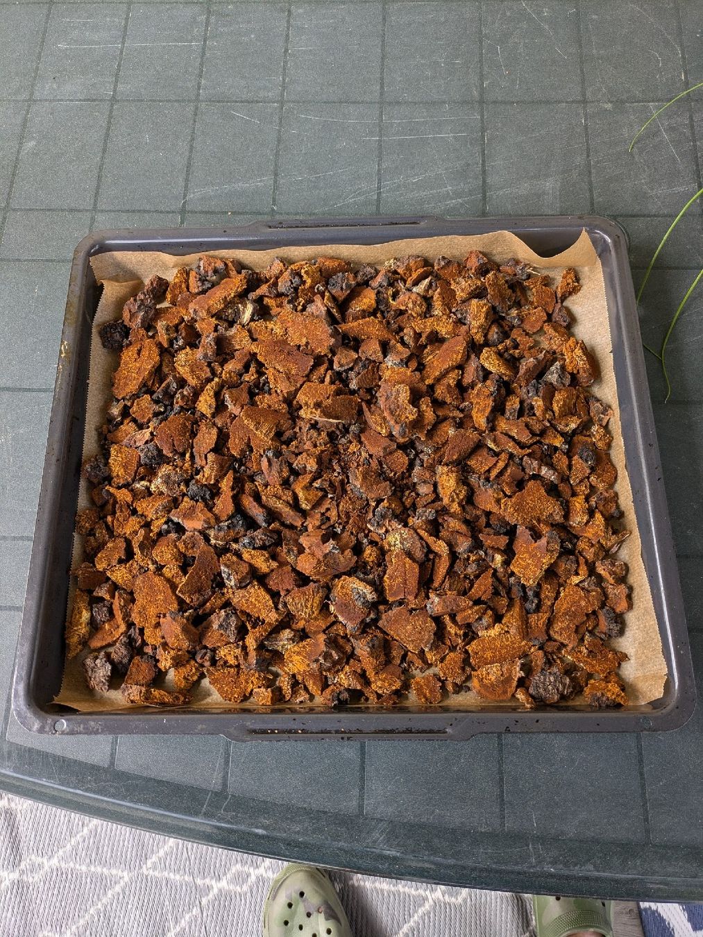 Cibi & Specialità: 200g Chaga Pilz Tee – Nuovo e nell'imballaggio originale da waldenburg venduto da vr161069 3