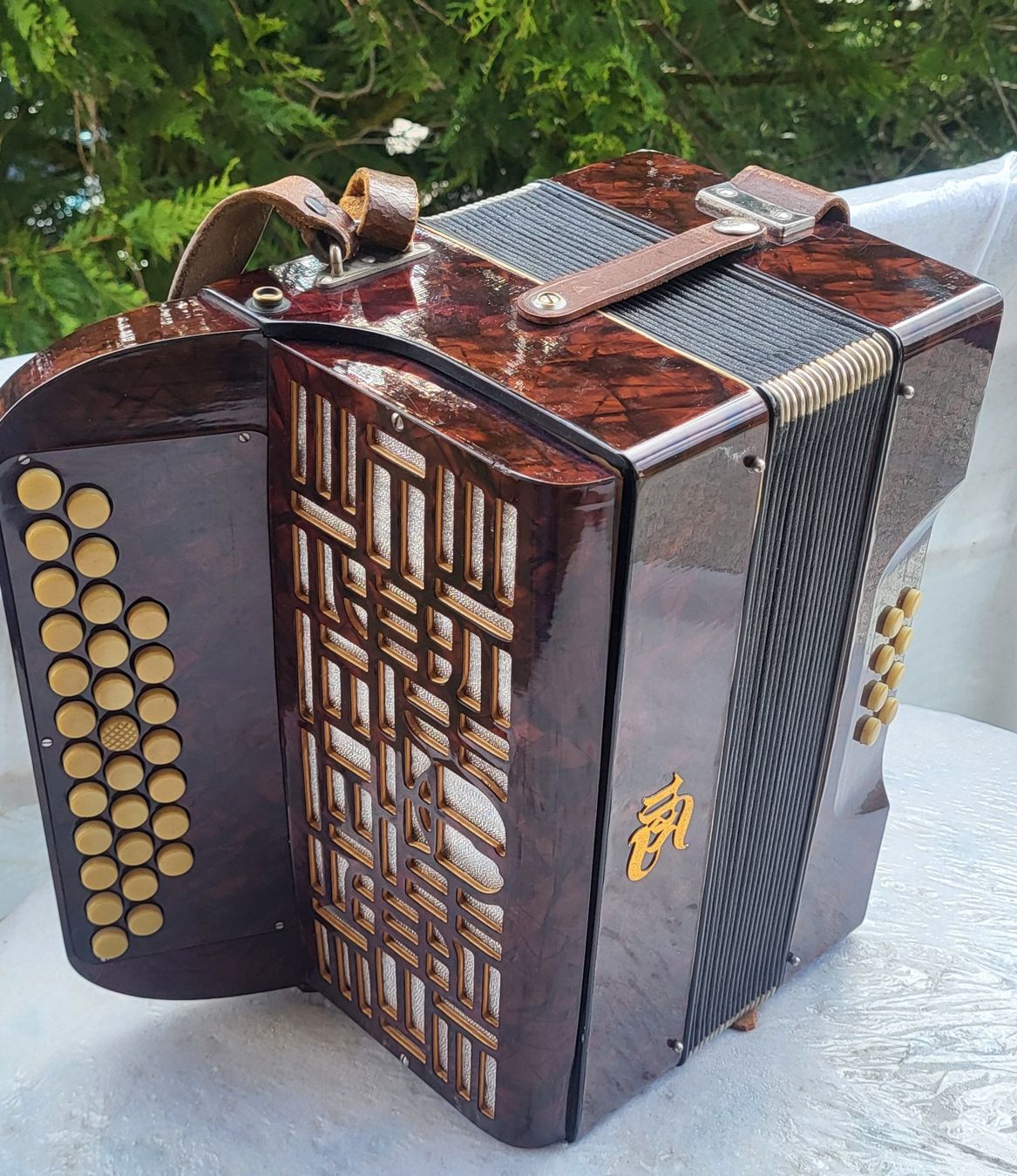 Strumenti musicali: Accordéon Tell Bachembulach Diatonique – Usato da Penthalaz venduto da EvandroLuz 1