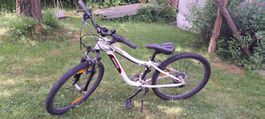 Kinder Fahrrad Specialized Hotrock 24' weiss guter Zustand