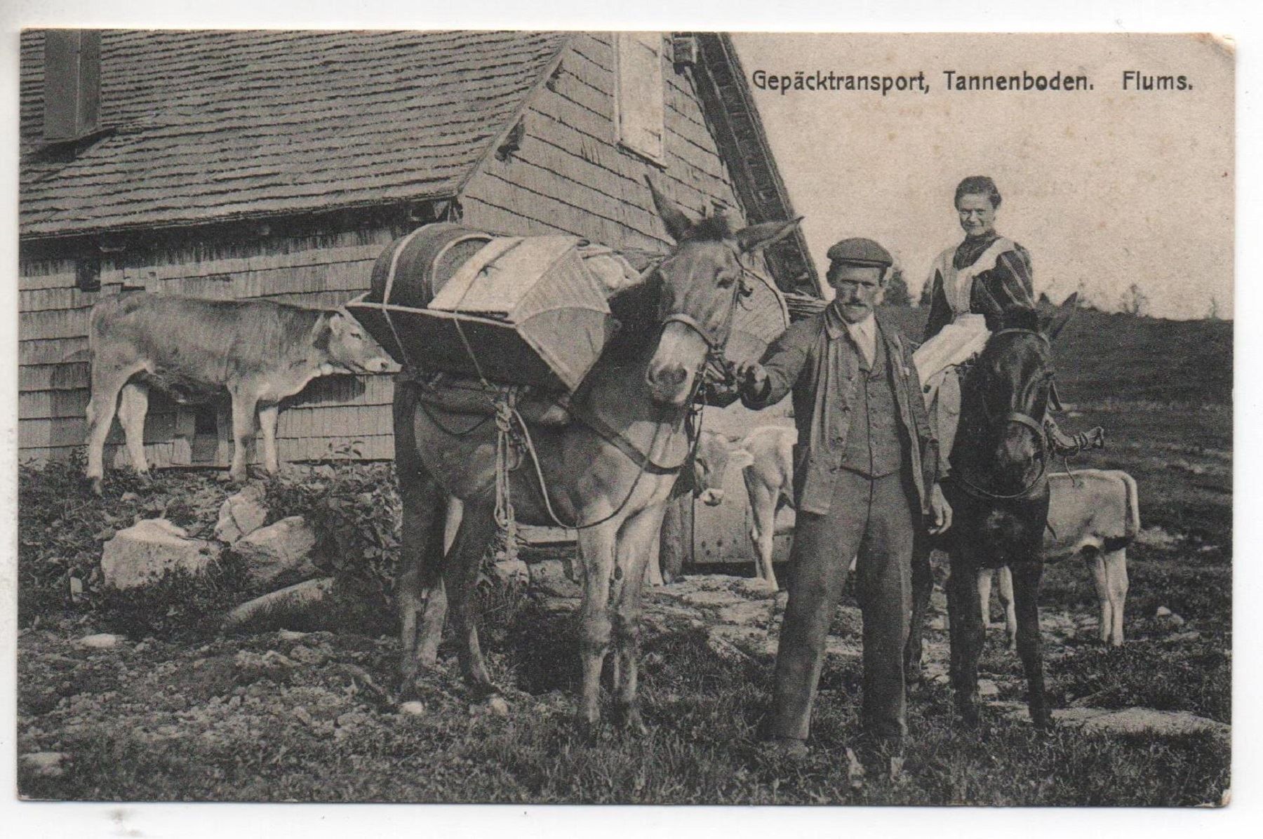 Cartoline postali: FLUMS Gepäcktransport, belebt - Maultier – Usato da Jona venduto da philajona