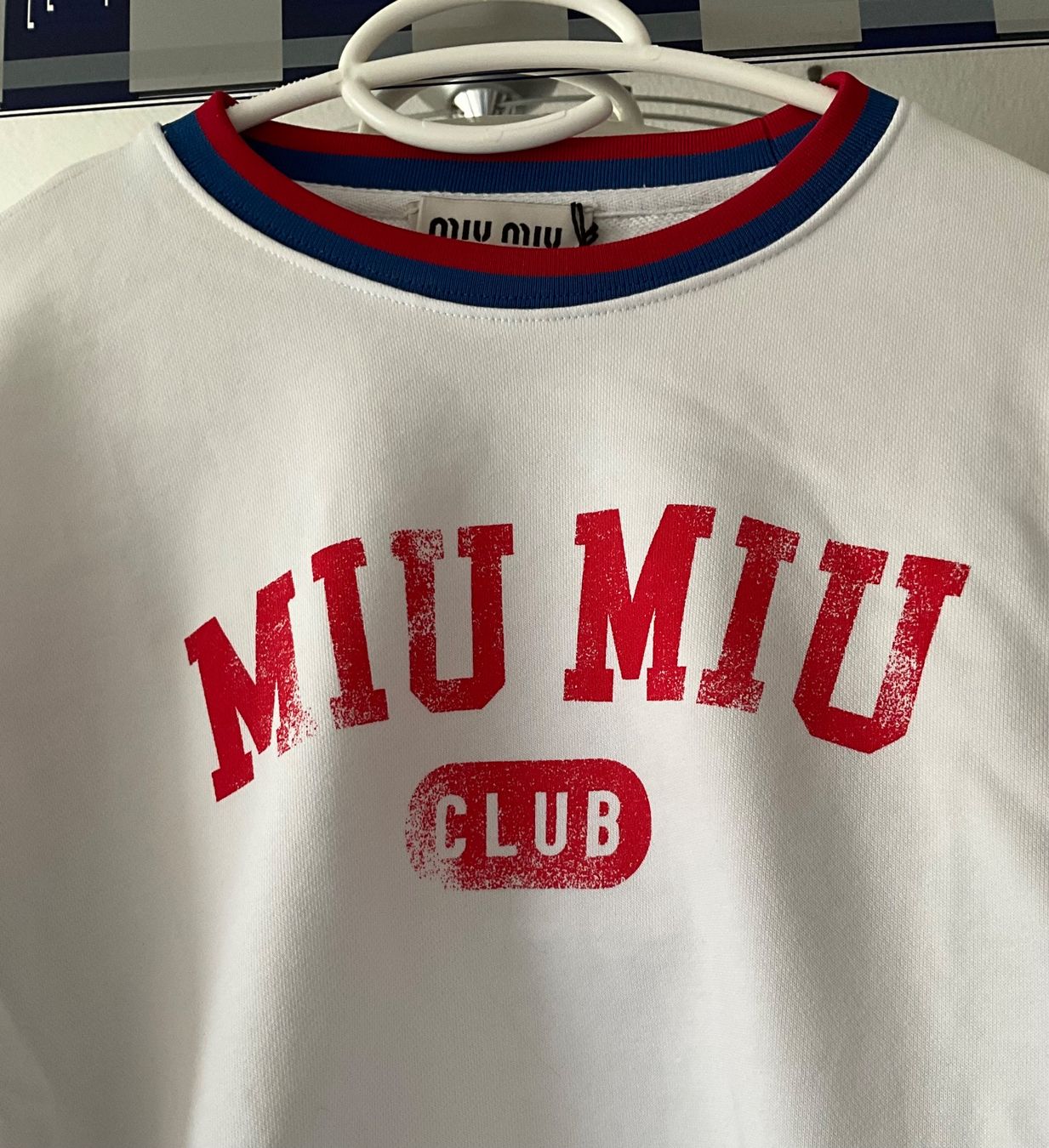 Miu Miu Maglioni & Felpe: Original Miu Miu Cropped Sweater NEU MIT TAGS – Nuovo (secondo la descrizione) da Grenchen venduto da sojalatte 2
