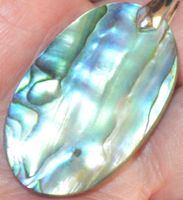 Anhänger L-5219 – Abalone Muschel 35x21mm