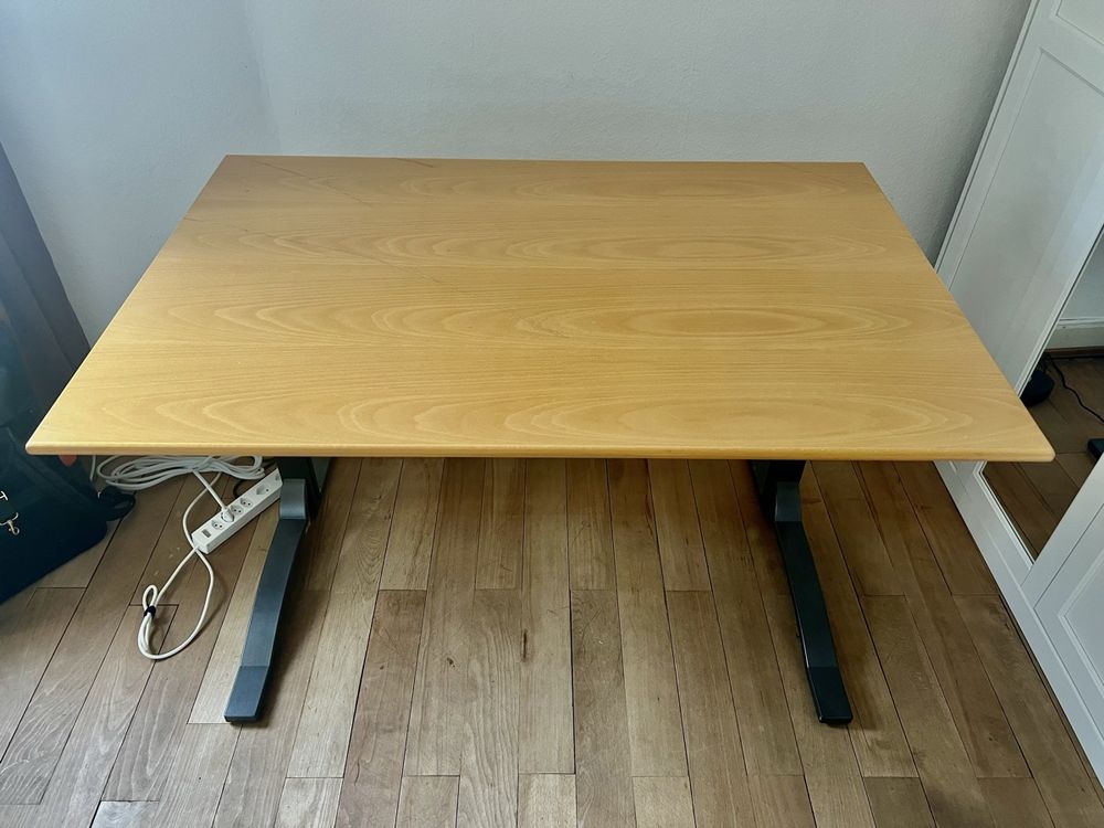 Scrivanie: Professional Desk ELAN Swiss – Usato da Zürich venduto da zgwenzel