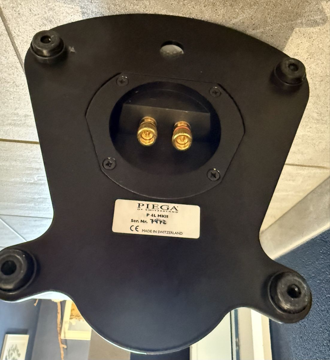 Piega Casse acustiche: Piega P4L MKII  – Usato da Eschenbach SG venduto da InkassoHenry 3