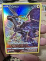 Zekrom Trainer Gallery eng.