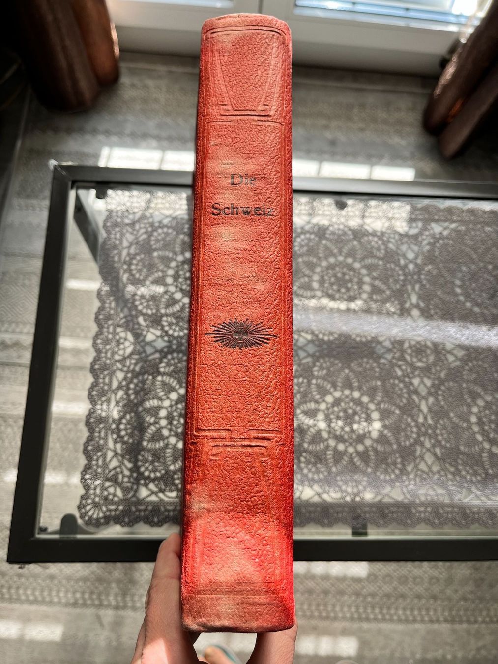 Libri: Heinrich Brunner: Die Schweiz 1909 – Usato da Lausanne venduto da Kinga_Shopaholic 8