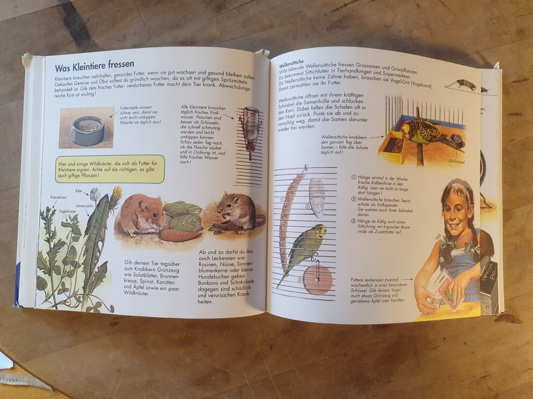 Libri: Alles was ich wissen will 2 Ravensburger – Usato da Zürich venduto da loosebone 5