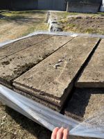 Beton Stelen - Schnäppchen