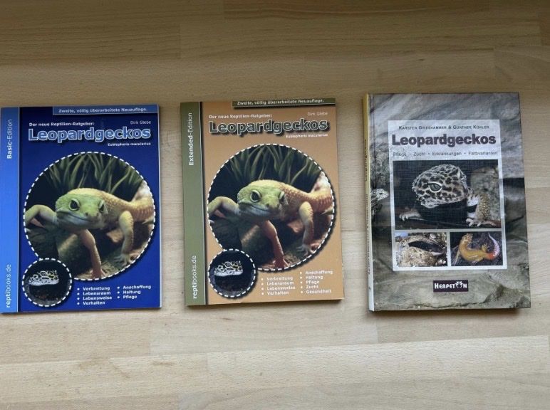 Terrariums: Komplett eingerichtetes Terrarium  – D'occasion à Burgdorf par bi_kri98 5