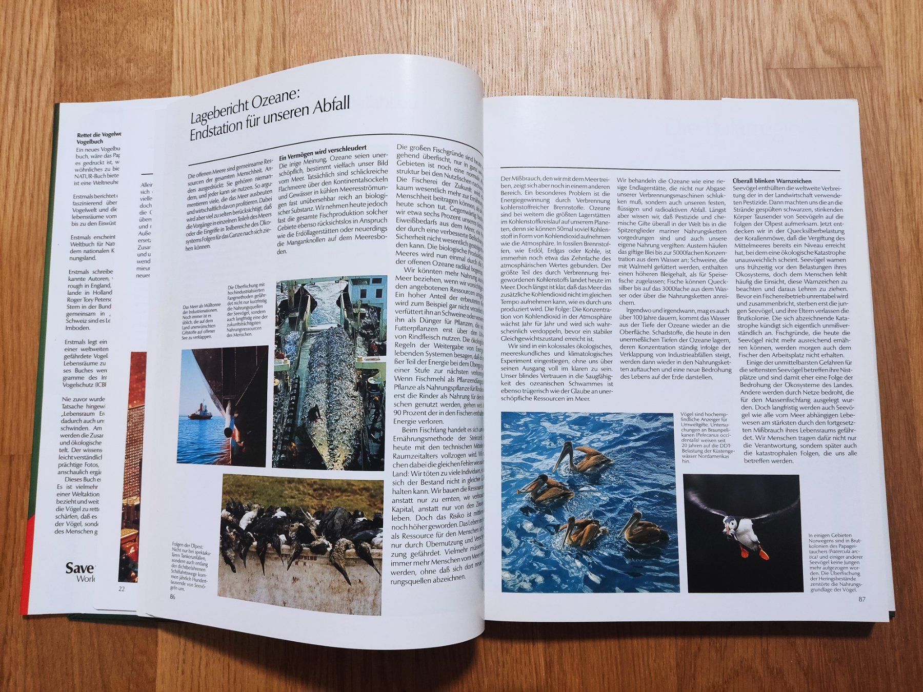 Bücher: Rettet die Vogelwelt - Schweizer Ausgabe – Gebraucht aus Buchs AG von patiburgener 4