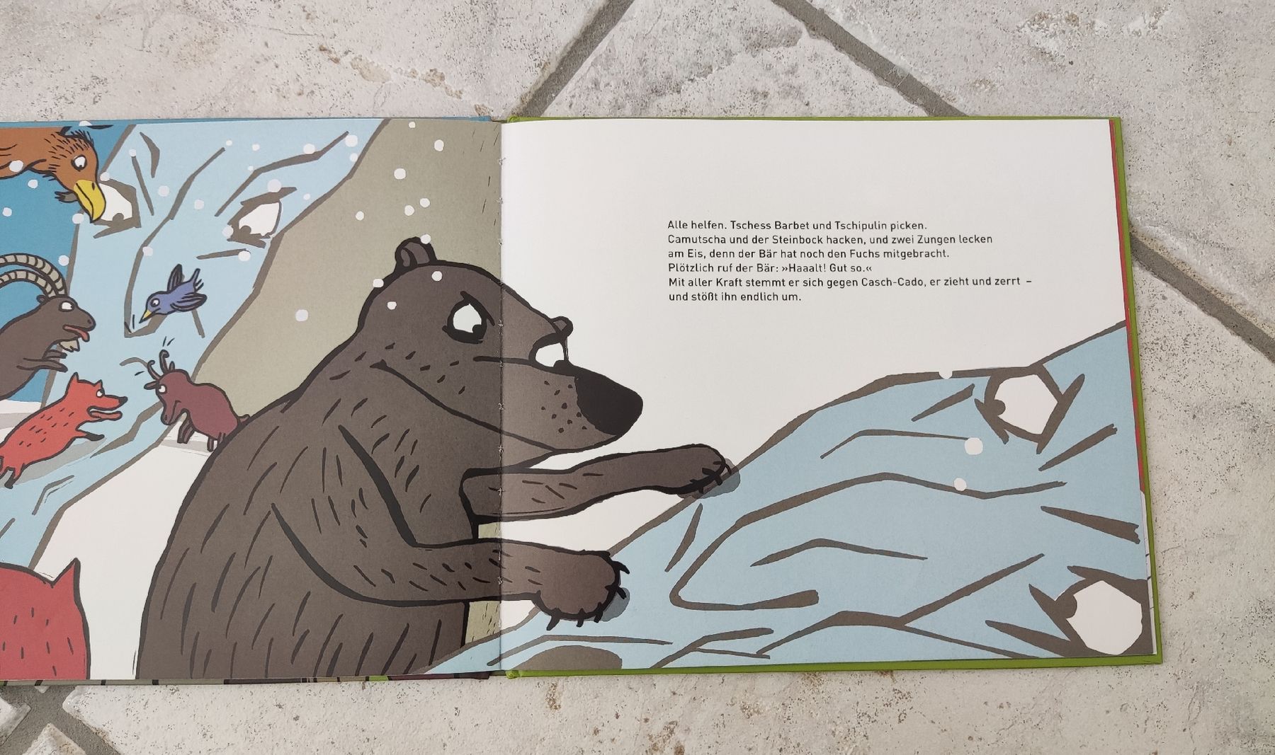 Libri: AMI SABI im Schneewunderland – Usato da Chur venduto da Nisami 2