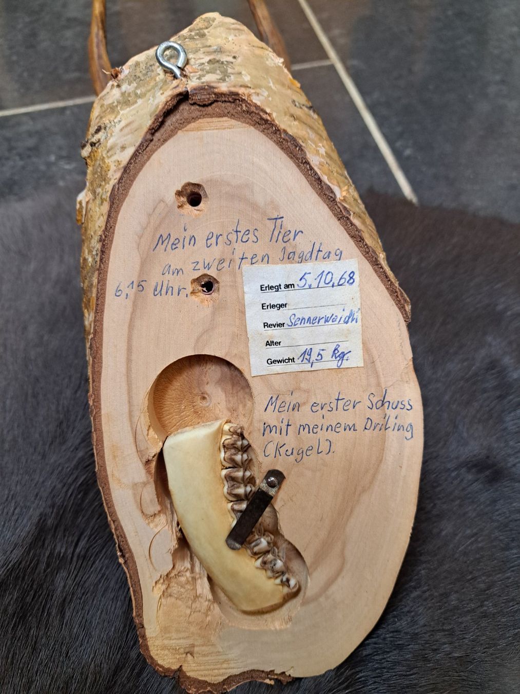 Altre raccolte & rarità: Rehbock Trophäe – Usato da Obergoldbach venduto da chr_cbp5 2