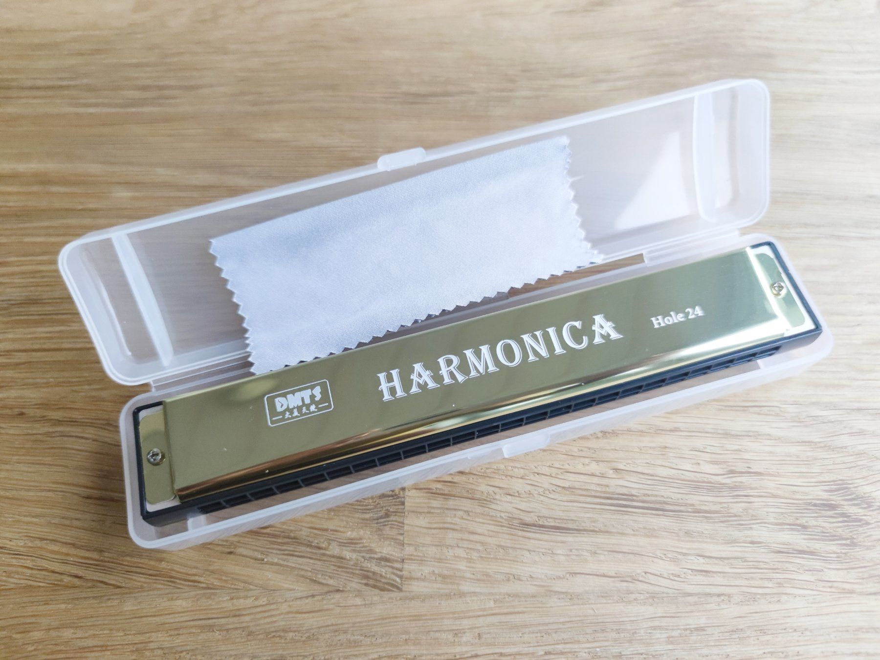 Strumenti musicali: Mundharmonika 24 Löcher – Nuovo e nell'imballaggio originale da Grünen venduto da Coia