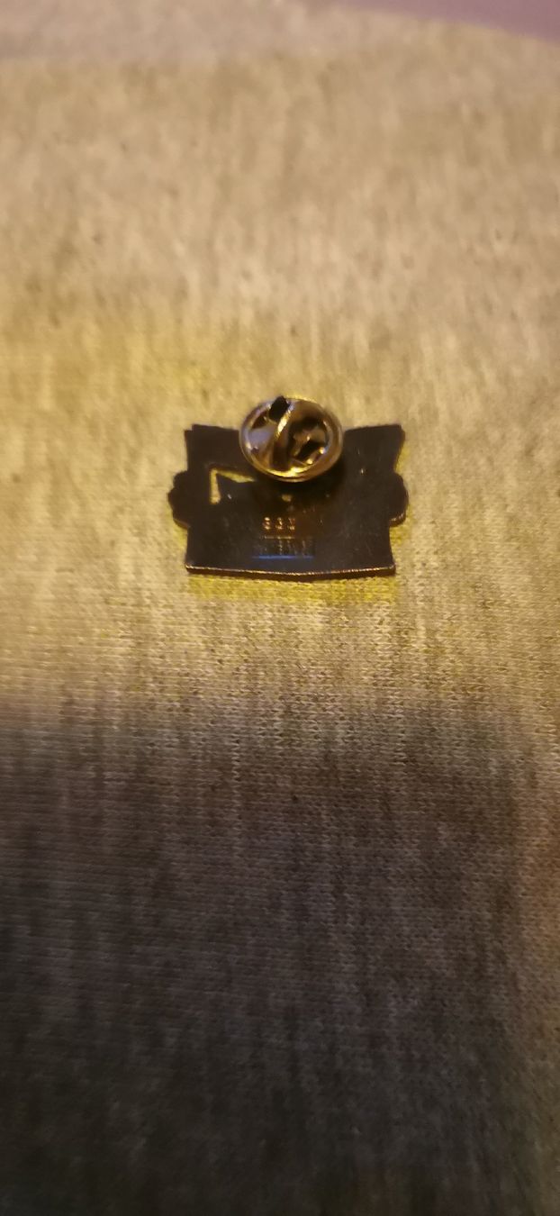 Placchette & Badge: Pin L'illustré – Usato da Genève venduto da vins50 1