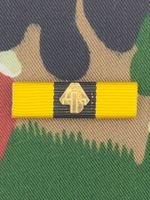Ribbon Selbst- und Kameradenhilfe / ABC Abwehr