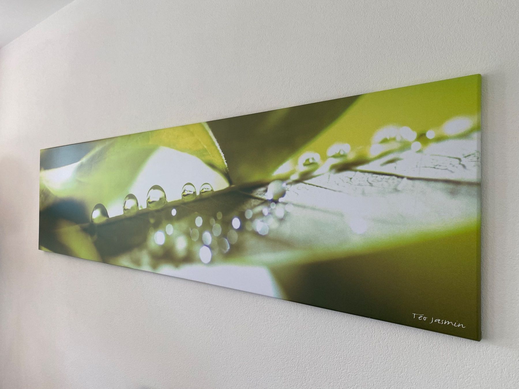 Foto & Immagini: Leinwand Bild 195 x 50 cm - Téo Jasmin – Usato da Nänikon venduto da Rogerscherrer 2