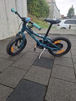 Scott Contessa 16
