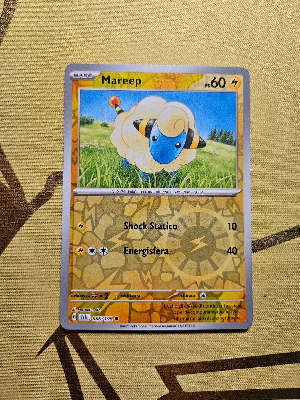 Pokémon Carte collezionabili: Scarlet & Violet - Mareep – Usato da Bellinzona venduto da Pokemarco