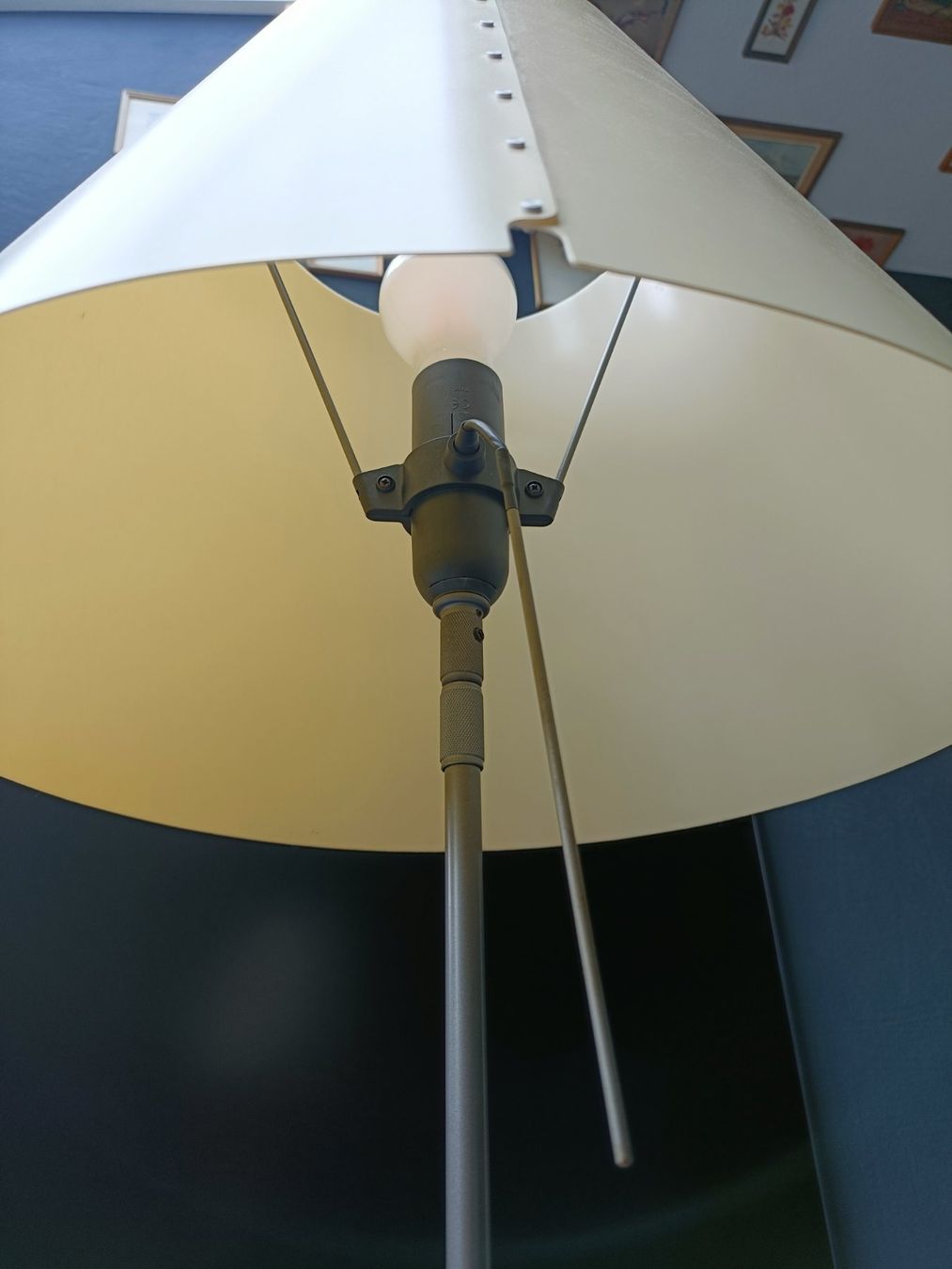 Luceplan Lampade: Stehleuchte Luceplan Costanza LED – Usato da Schmitten FR venduto da oldtimer82 5
