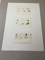 ROLF WINNEWISSER LITHOGRAPHIE
