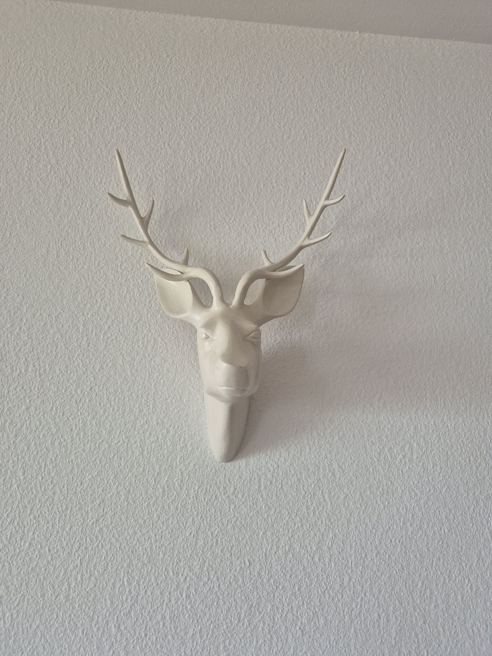 Tutte le decorazioni: Deer Head Wall Mount Decor - metal – Usato da Zürich venduto da mrs_kz6n 2
