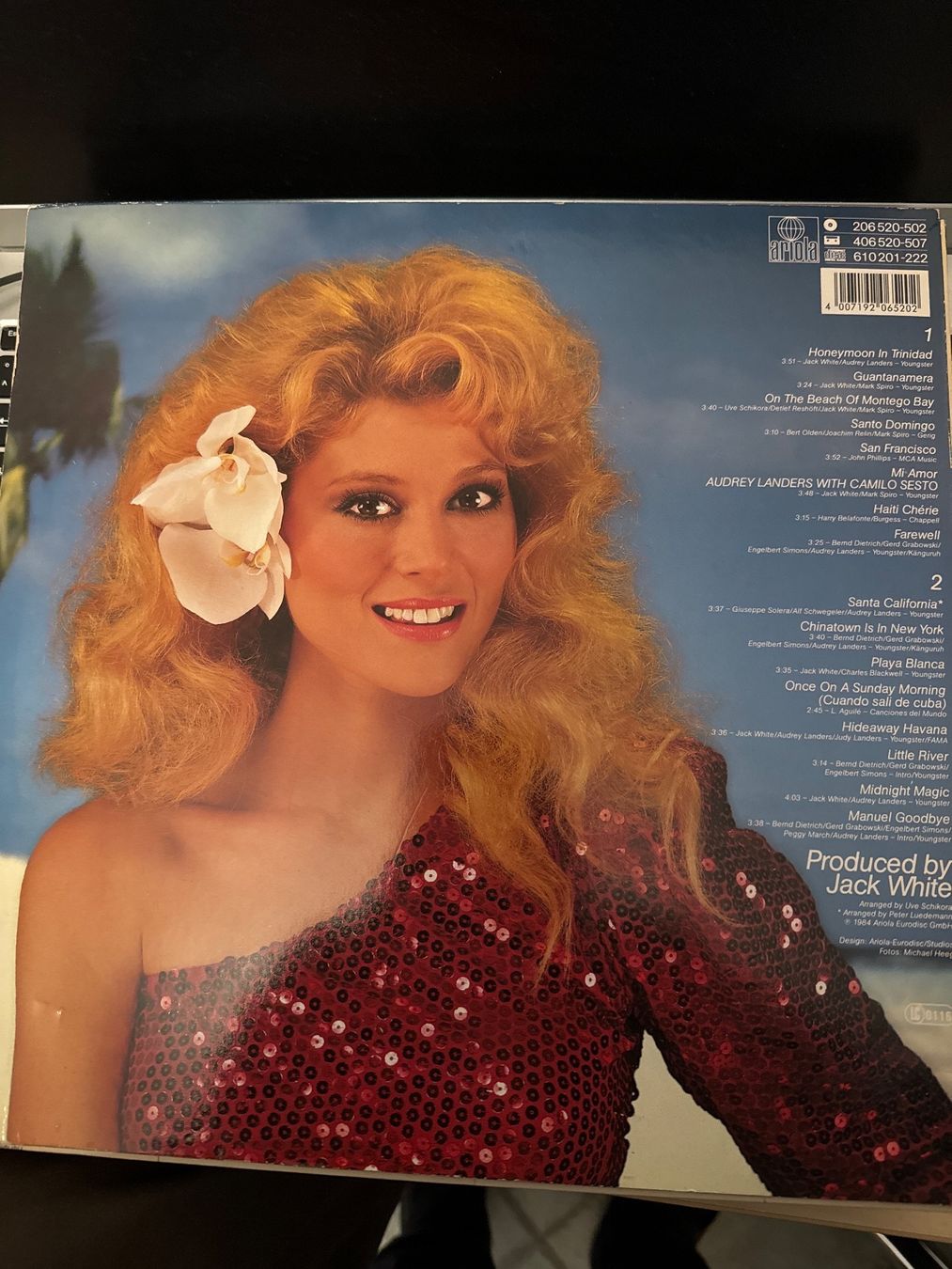 Dischi in vinile: Langspielplatte von Audrey Landers – Usato da Arisdorf venduto da comestibles 1