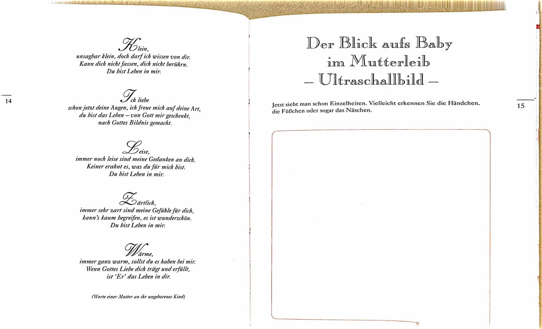 Libri: Mein Schwangerschaftstagebuch – Nuovo (secondo la descrizione) da Sarnen venduto da Livres 5