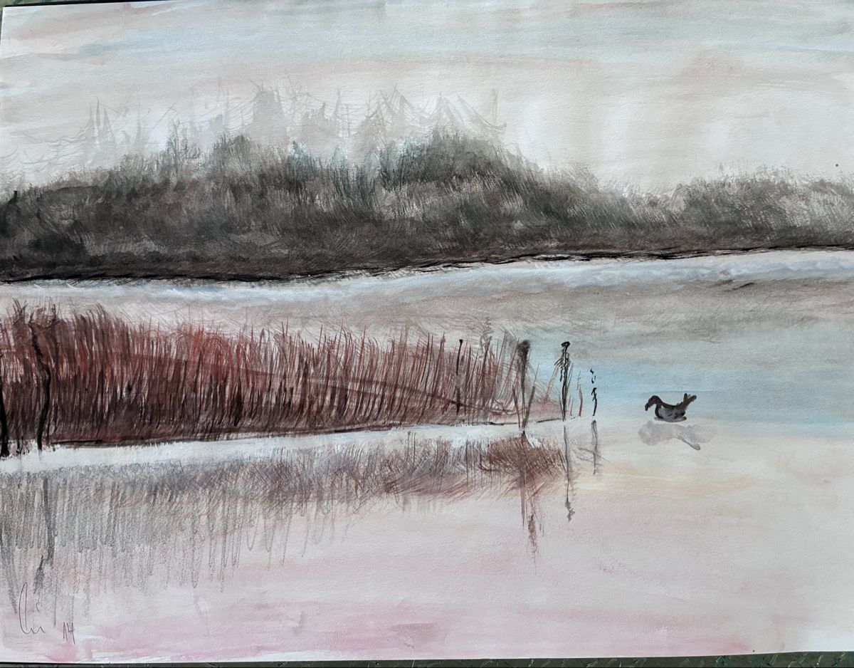 Gemälde: Wasservogel – Neu (gemäss Beschreibung) aus Walenstadt von Aledith40