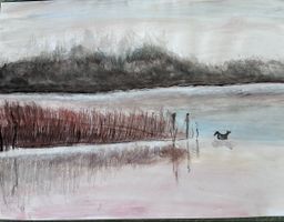 Wasservogel