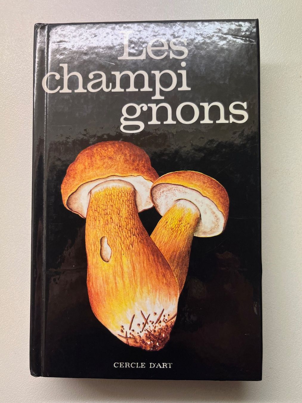 Libri: Les Champignon von Aurel Dermek – Usato da Laufen venduto da Nuria44