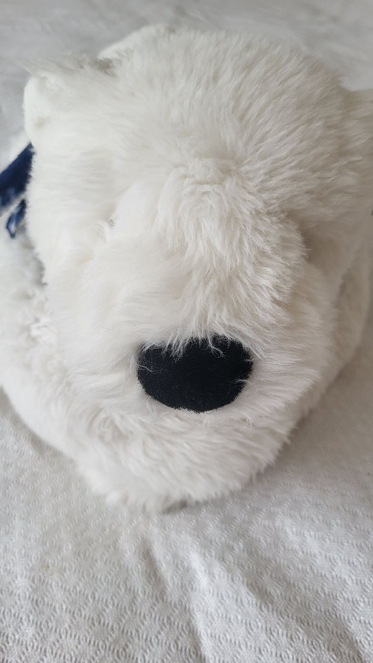 Spielzeuge: Ourson en peluche blanc  – Gebraucht aus Fribourg von VictoriaShop7 3