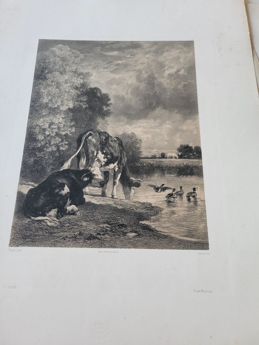 Incisioni: Lot de gravures  10 pieces – Usato da Bernex venduto da Dariafr 8