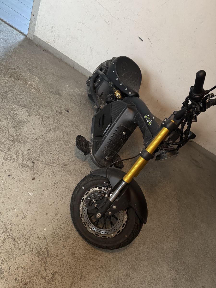 Veicoli elettrici: Elekto bike – Usato da Bischofszell venduto da bil_w5tb 1
