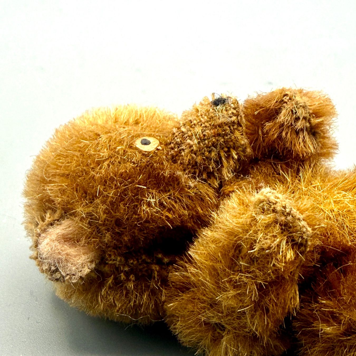 Giocattoli: Miniaturteddy – Usato da Ueberstorf venduto da Brocandi 7