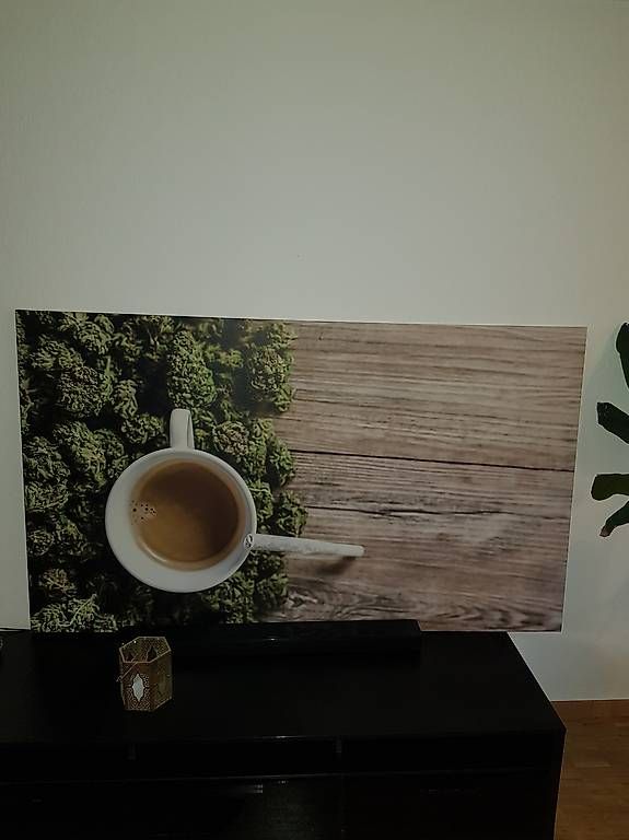 Poster & Bilder: Wandbild  – Gebraucht aus wettingen von nic_dhm6