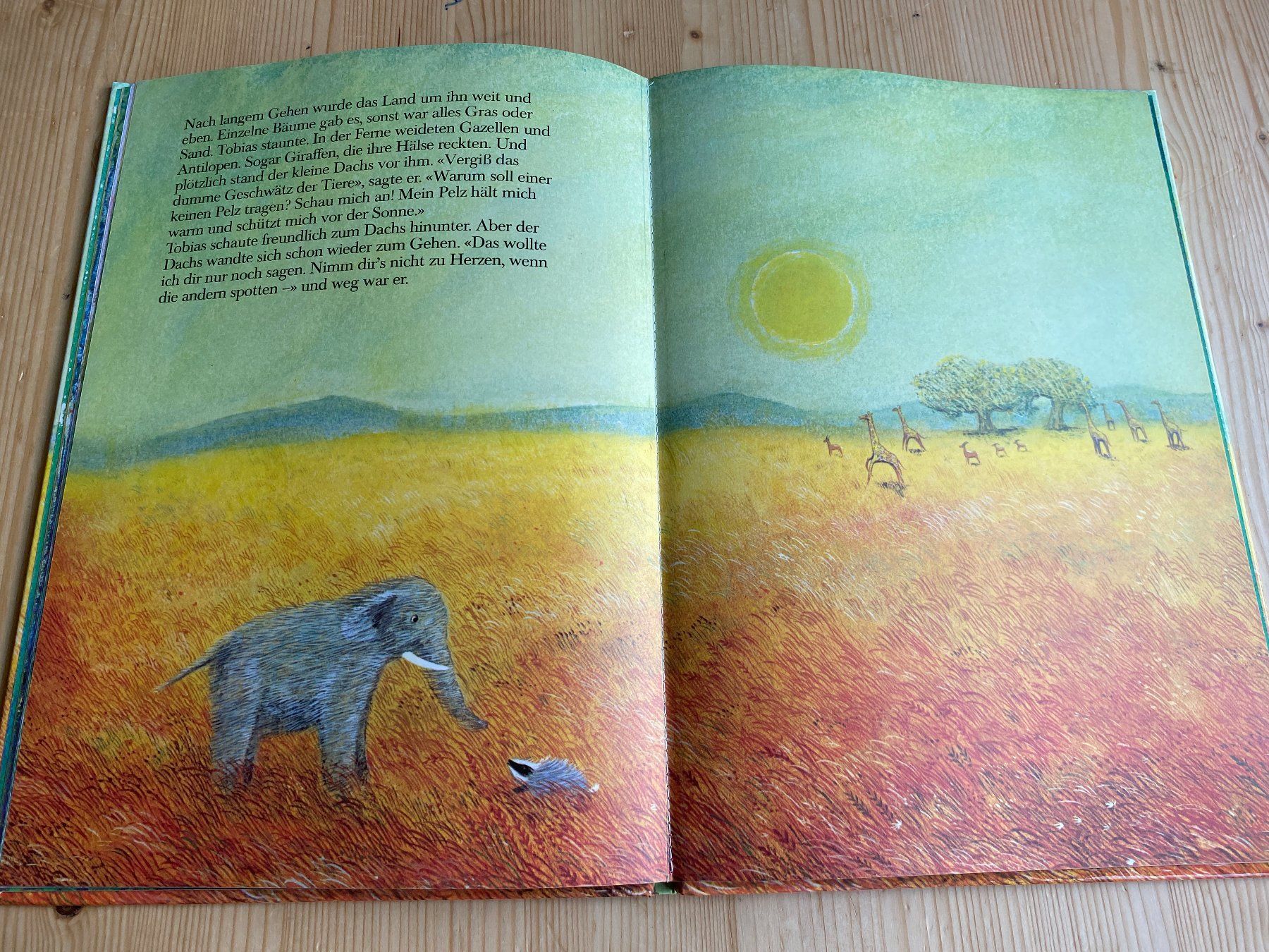 Libri: Bernadette: Ein Elefant mit Haaren; neuwertig! – Nuovo (secondo la descrizione) da Weinfelden venduto da Cheyenne21 6