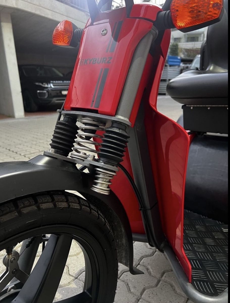 Kyburz Veicoli elettrici: Kyburz Dx2/Dxp – Usato da Effretikon venduto da ugochan 4