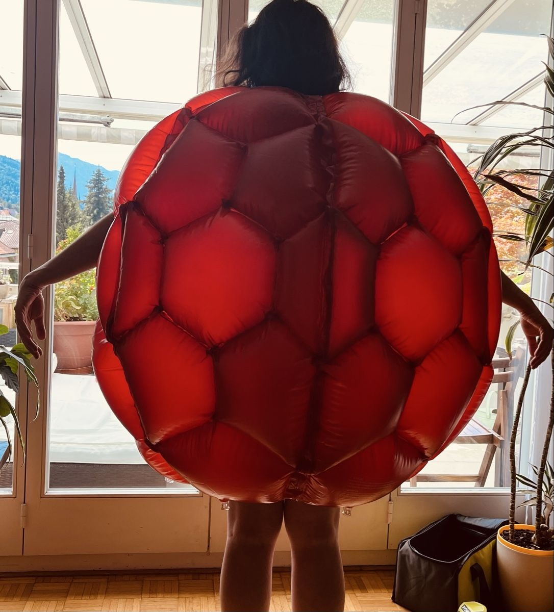 Spielzeuge: Aufblasbare Bubble Bumper Balls (Himbeere)  – Gebraucht aus Zug von ste_6pxf 1
