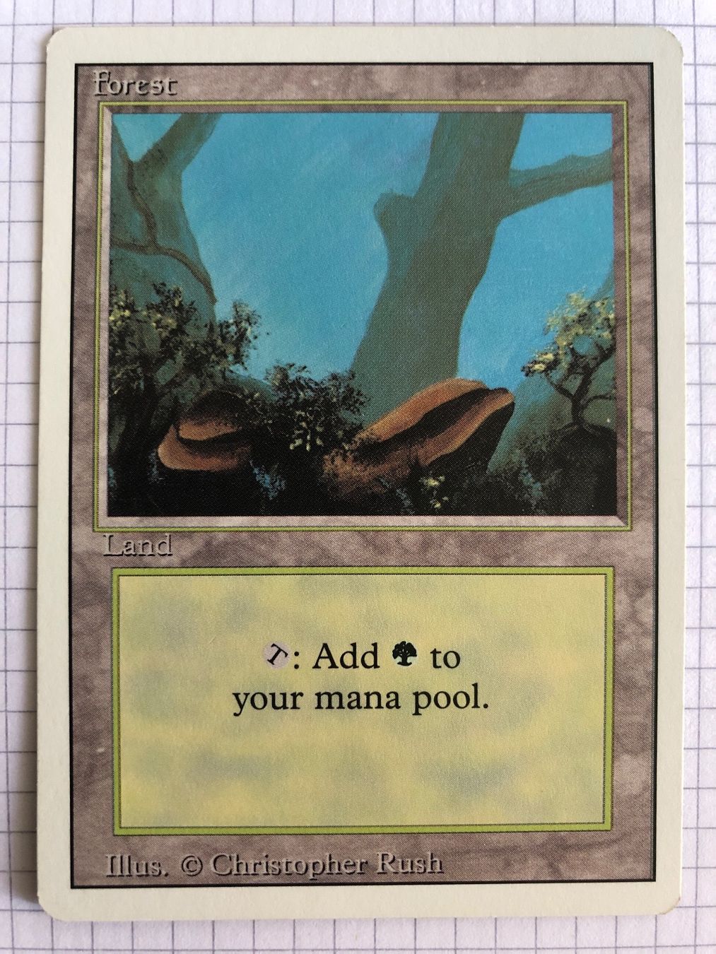 Magic The Gathering Sammelbilder & Trading cards: Revised - Forest V1 - #direktkauf – Gebraucht aus Basel von Melchior5